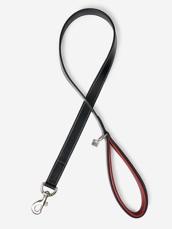 Windsor Dog Leash