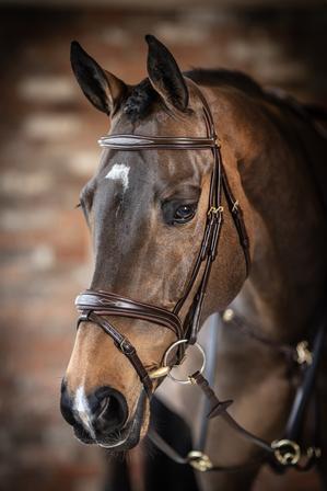 Competition Flash Bridle