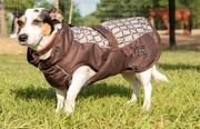 All Weather Dog Coat TAUPE_BLOCKS