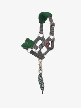 Toy Pony Halter HUNTER