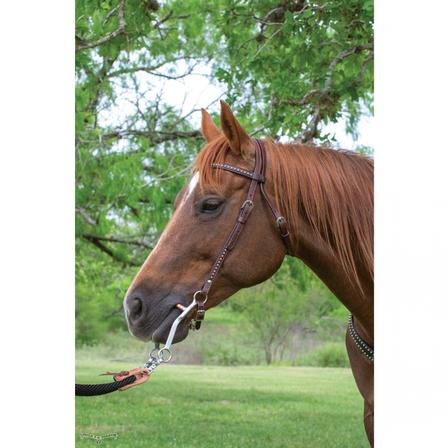 Browband Headstall with Spot Accents
