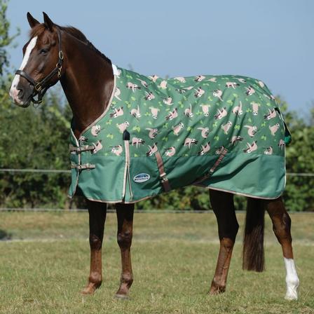 Comfitec Essential Standard Neck Lite - BONUS HAY BAG