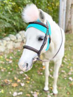Pom Pom Bonnet