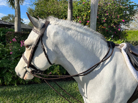 Pony Draw Reins