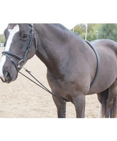 Soft Lunging Aid