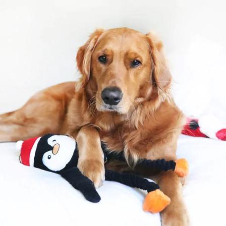 Holiday Crinkle Penguin - Large