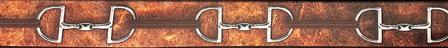 C4 Graphic Belt with Standard Buckle LEATHER_BITS