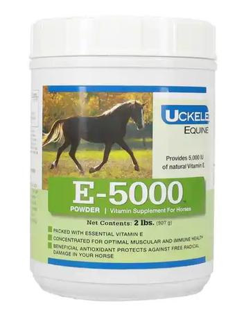 E-5000 Powder