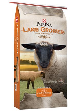 Lamb Grower