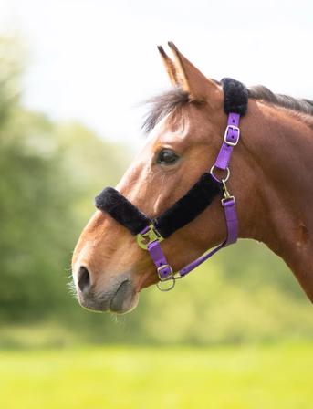 Breakaway Fleece Lined Headcollar PURPLE