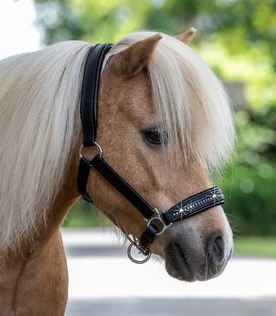 Diamond Star Leather Halter