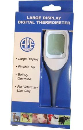 Large Display Digital Thermometer