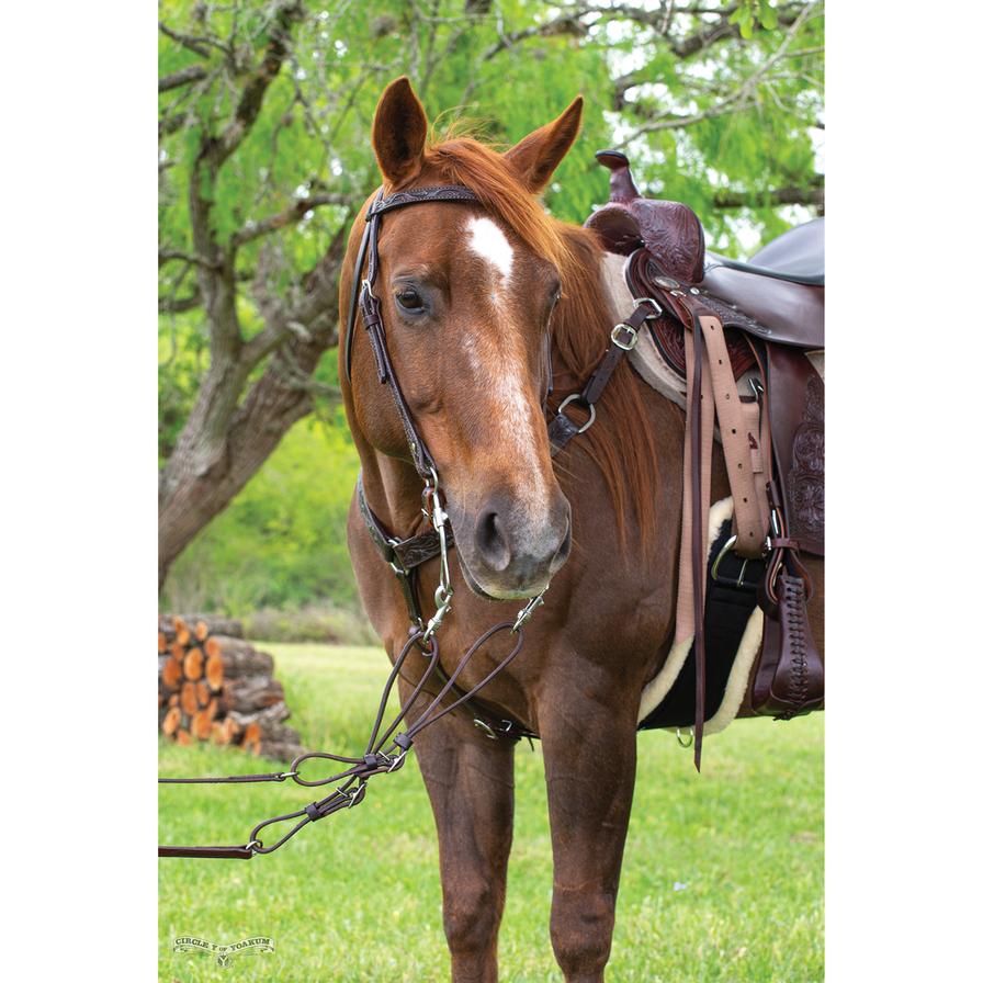 Classic Floral Headstall - Walnut