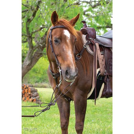 Classic Floral Headstall - Walnut