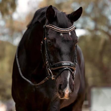 Aurelia Patent Snaffle Bridle BLACK