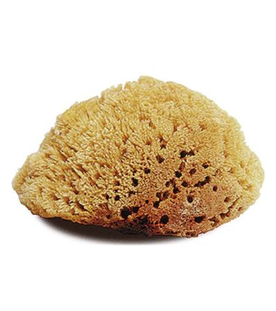 Natural Tack Sponge - Large