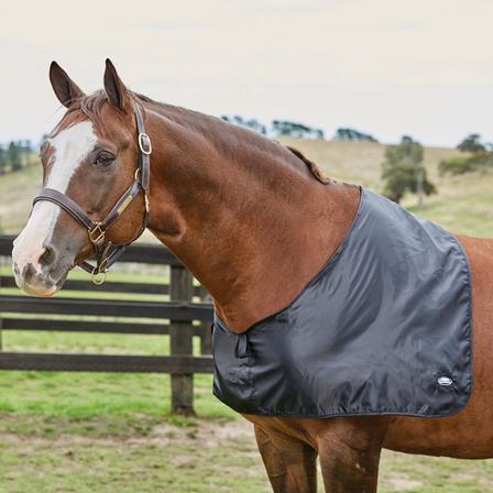 Satin Shoulder Guard - Horse