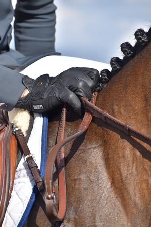 Winter Show Gloves