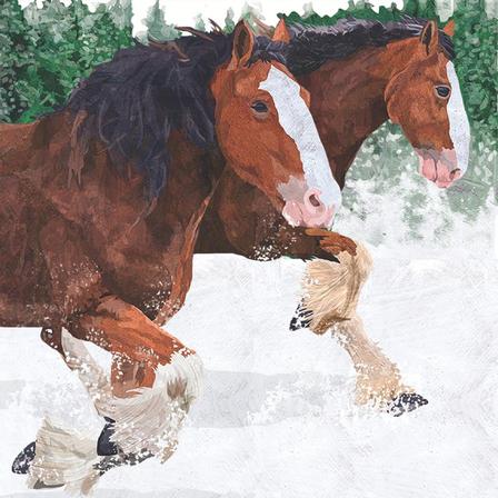 Clydesdales Beverage Napkins
