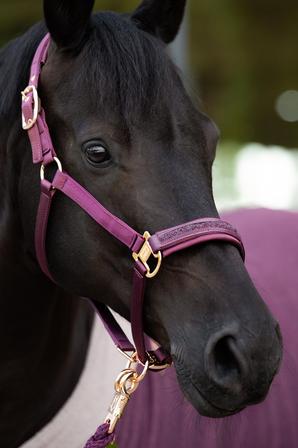Satin Jewel Double Pin Halter