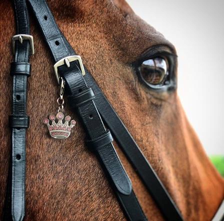 Pink Crown Bridle Charm 