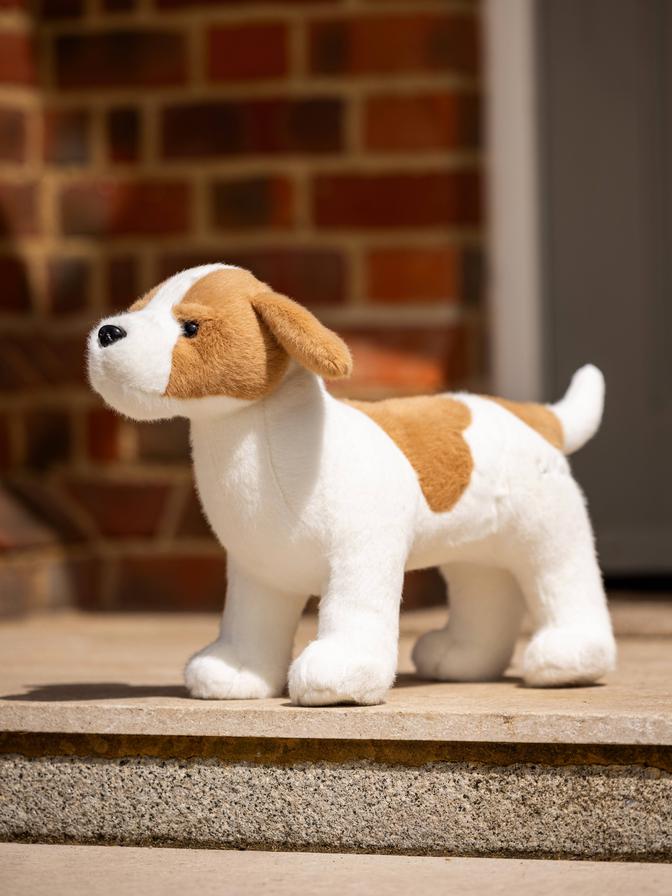  Jack - Toy Puppy