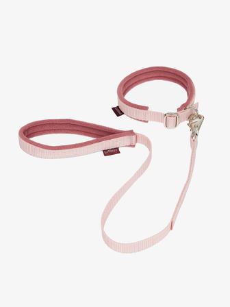 Toy Puppy Collar and Lead