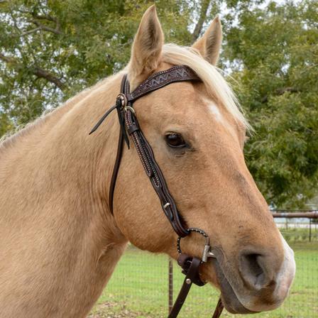 Bluestem Browband Headstall