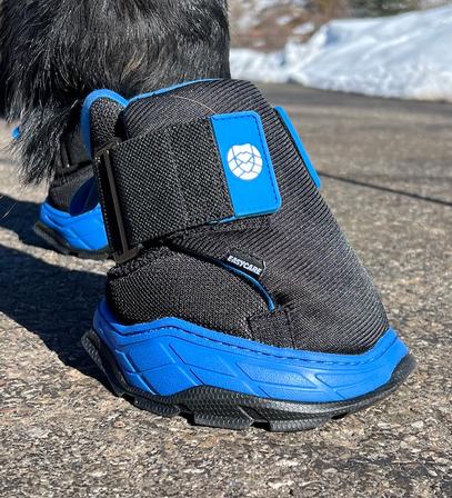 EasyBoot Rx2 Sizes 4 - 7 BLACK