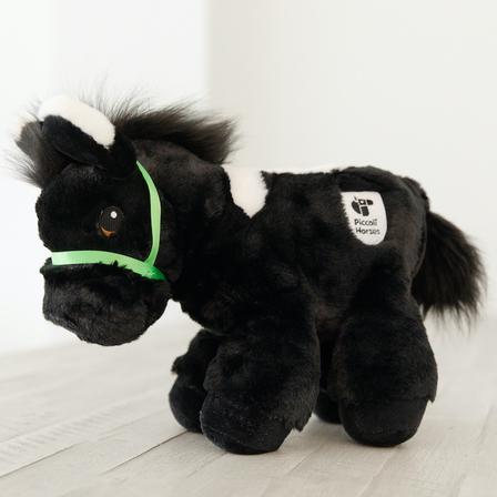 Black Donkey