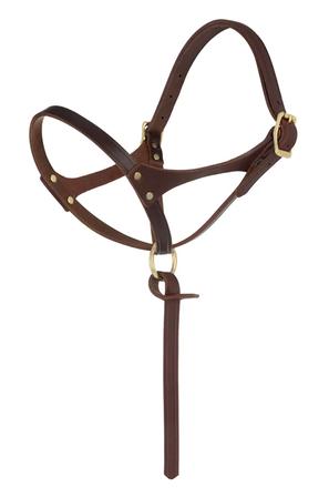 Figure 8 Foal Halter - Suckling