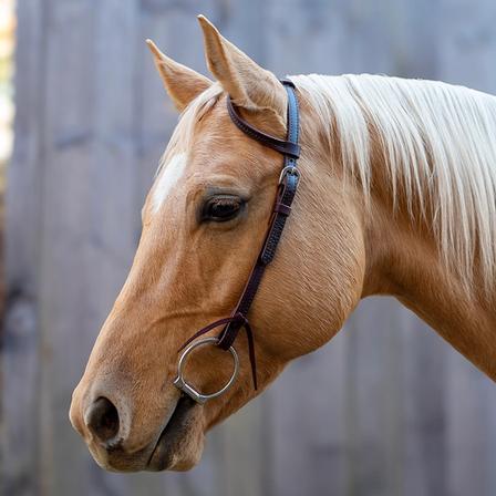 Velociti One Ear Headstall DARK_OIL