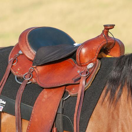 Western Saddle Foam Tush Cushion