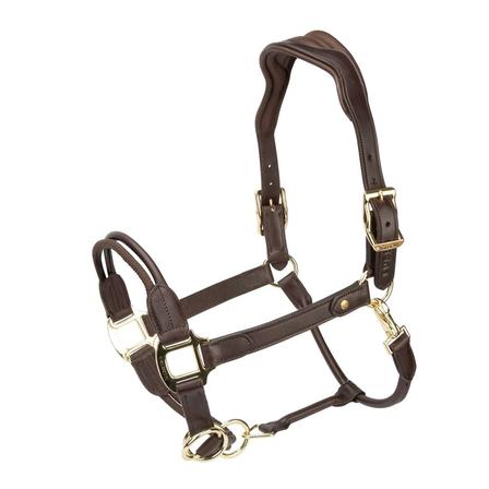 Velociti Lusso Soria Control Halter HAVANA