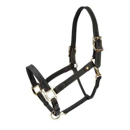 Velociti Lusso Girona Leather Halter BLACK