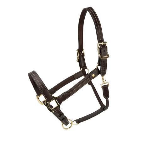 Velociti Lusso Girona Leather Halter HAVANA