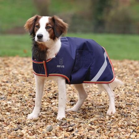 Digby and Fox Lite Waterproof Dog Coat