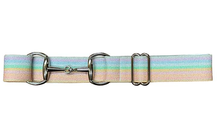 Glitter Stripes Elastic Belt