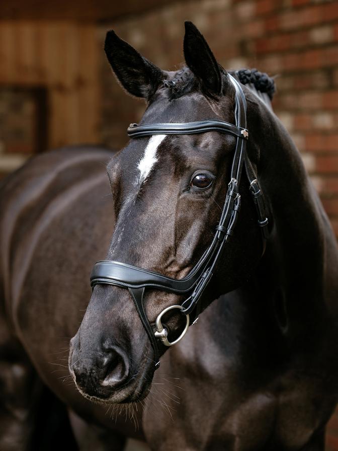 Arika Split Noseband Bridle