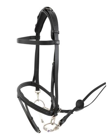 Hamburg Training Bridle