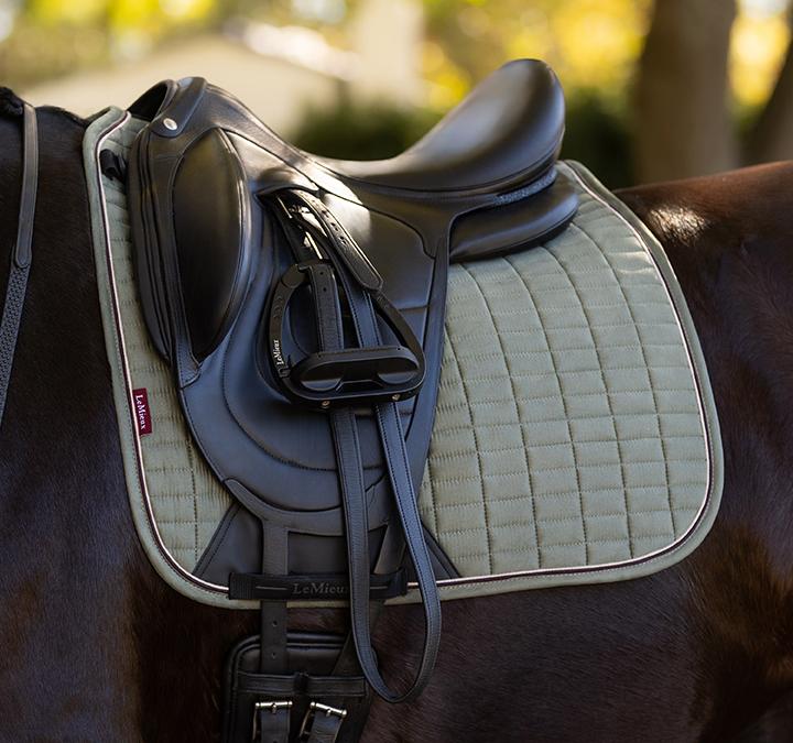 Suede Dressage Pad - New 2025 Colors