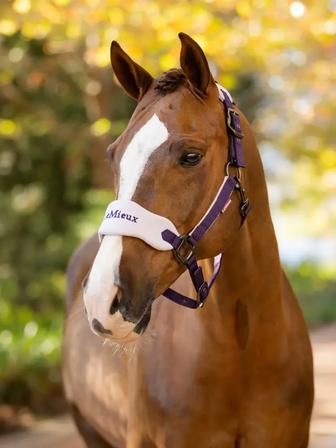Vogue Halter and Leadrope - New 2025 Colors