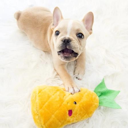 NomNomz® - Pineapple