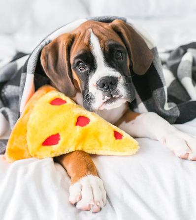 NomNomz® - Pizza Slice