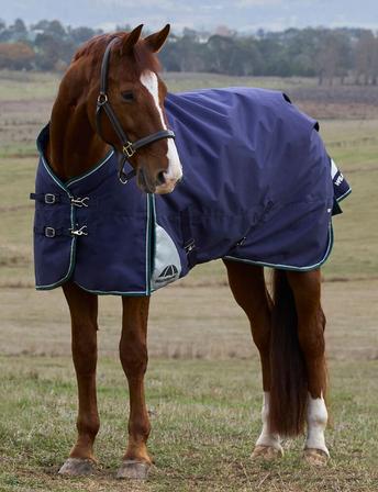 ComfiTec Plus Dynamic Turnout Sheet - 0g NAVY/FOREST