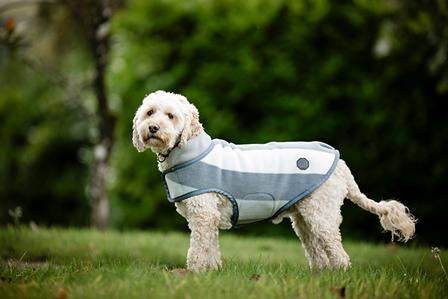 Newmarket Dog Fleece WITNEY_CHARCOAL
