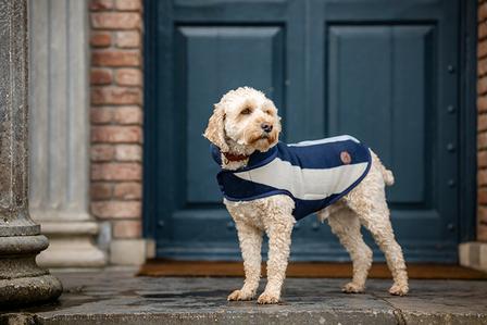 Newmarket Dog Fleece WITNEY_NAVY