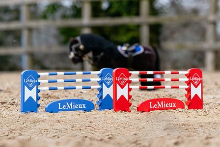 Toy Pony Jump Set