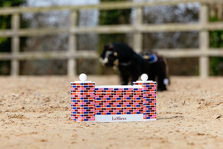 Toy Pony Puissance Jump Set