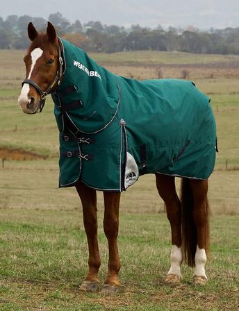 ComfiTec Plus Dynamic Detach-A-Neck Turnout - 360g FOREST/NAVY